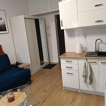 Zgierskastudio Apartament Łódź