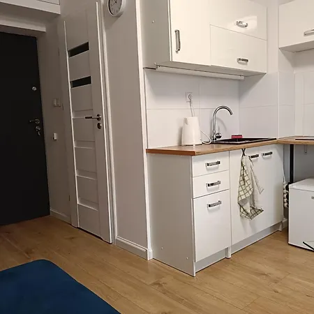 Apartament Zgierskastudio *